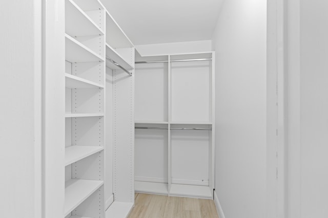 spacious closet featuring light wood finished floors