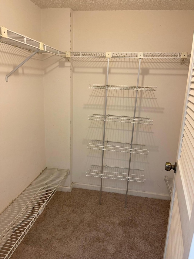 spacious closet featuring carpet