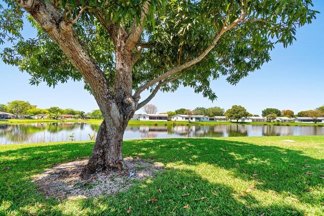 water view