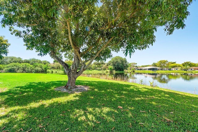 view of yard featuring a water view