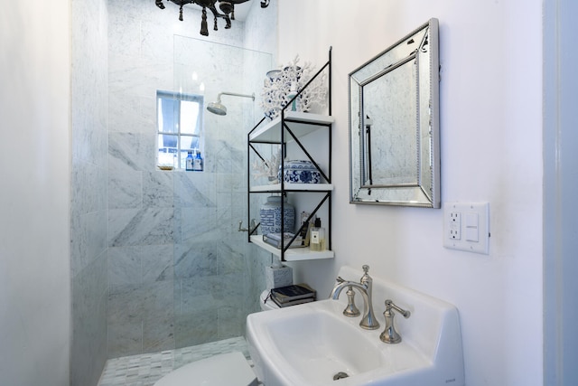359 E Lakewood Rd, West Palm Beach, FL 33405 - bathroom featuring toilet, a stall shower, and a sink