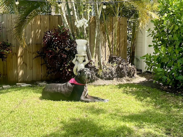 359 E Lakewood Rd, West Palm Beach, FL 33405 - view of yard featuring fence