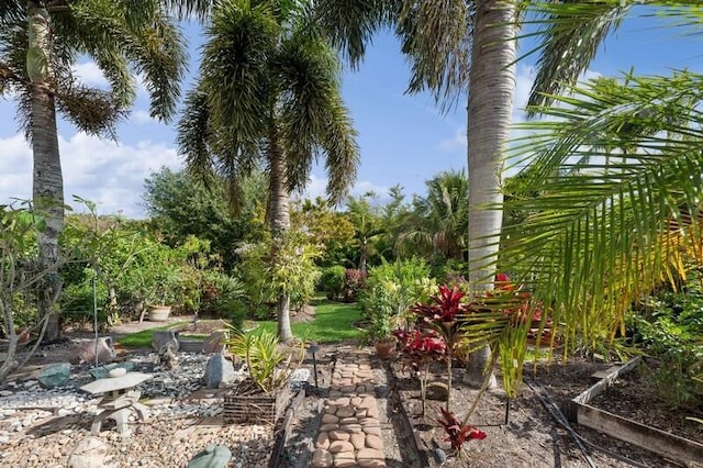 9600 Equus Cir, Boynton Beach, FL 33472 - view of yard