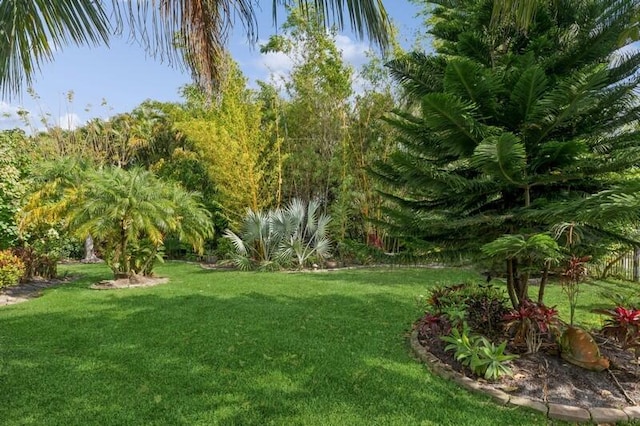 9600 Equus Cir, Boynton Beach, FL 33472 - view of grassy yard