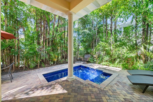 view of swimming pool with a patio