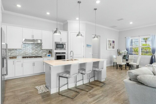 kitchen with under cabinet range hood, a sink, appliances with stainless steel finishes, open floor plan, and white cabinetry