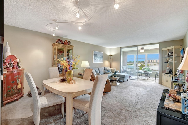 25 Abbey Ln Unit 404, Delray Beach, FL 33446 - living area featuring carpet, a textured ceiling, and ceiling fan