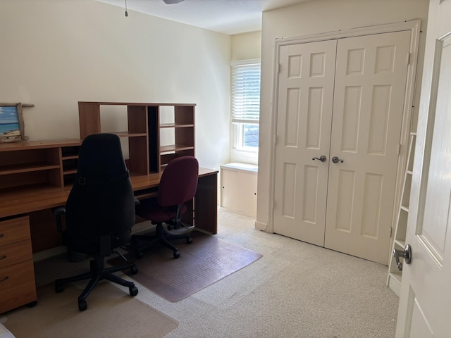office featuring light carpet