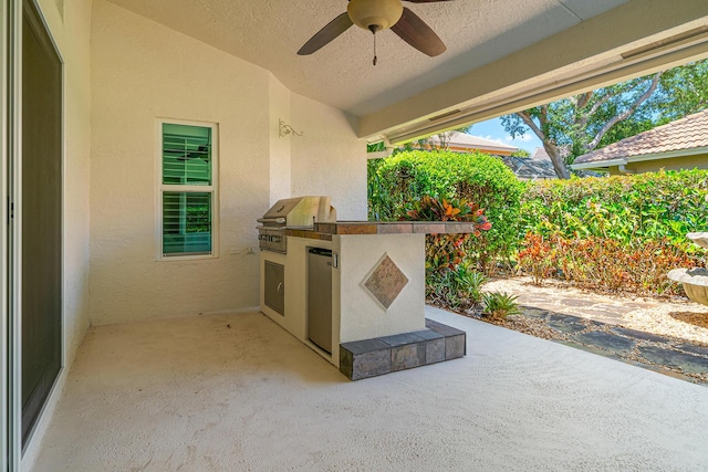 1167 Egret Cir S, Jupiter, FL 33458 - view of patio / terrace with an outdoor kitchen and ceiling fan