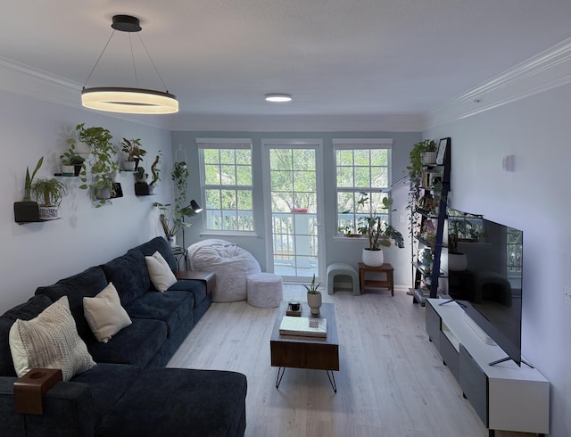 275 Murcia Dr Unit 304, Jupiter, FL 33458 - living area featuring ornamental molding, healthy amount of natural light, and light wood-style floors