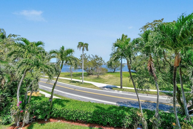 201 Avila Rd, West Palm Beach, FL 33405 - view of home's community featuring a yard