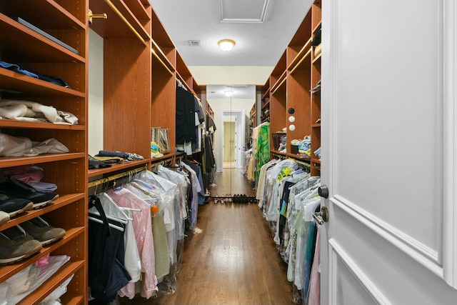 201 Avila Rd, West Palm Beach, FL 33405 - walk in closet with dark wood-style floors