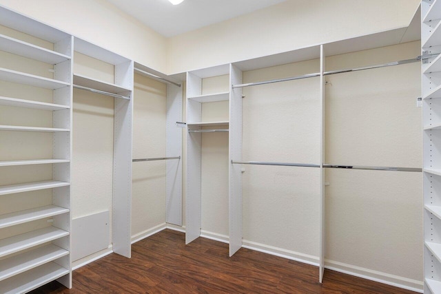 spacious closet featuring wood finished floors