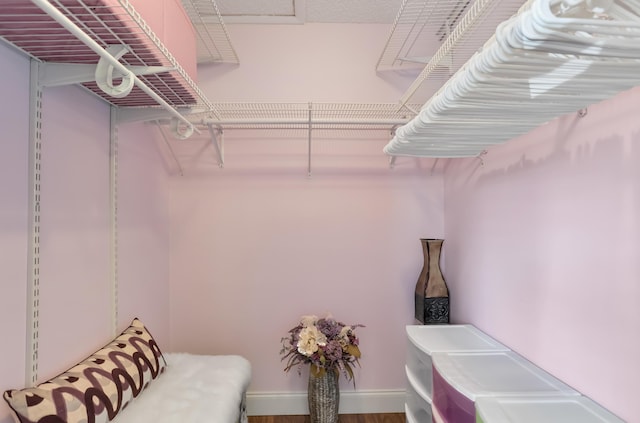 walk in closet with wood finished floors