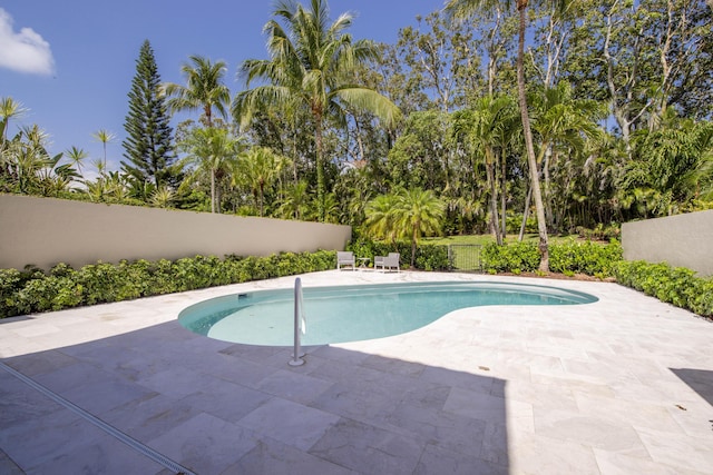 13890 Parc Dr, Palm Beach Gardens, FL 33410 - view of swimming pool featuring a patio area, a fenced backyard, and view of scattered trees