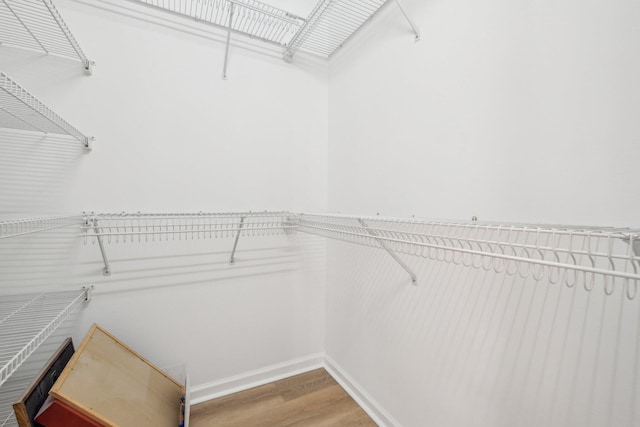 spacious closet featuring light wood-style floors