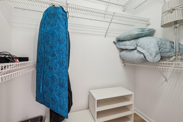 view of walk in closet