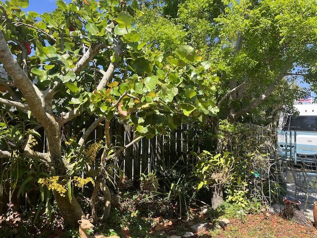 180 NE Lobster Rd, Port Saint Lucie, FL 34986 - view of local wilderness