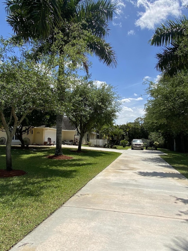 17768 Temple Blvd, Loxahatchee, FL 33470 - view of property hidden behind natural elements with concrete driveway and a front yard
