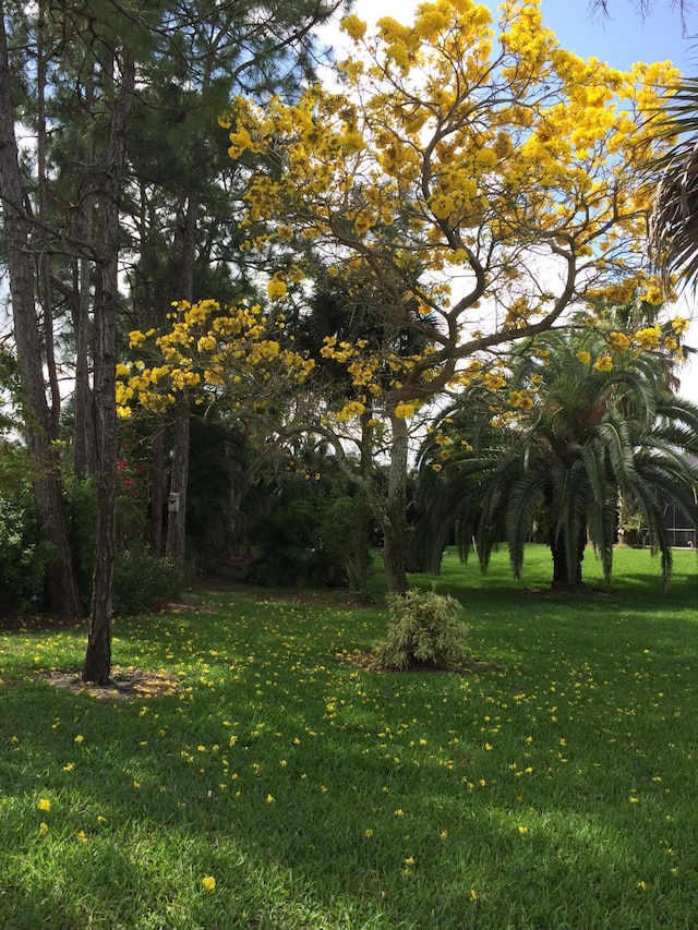 17768 Temple Blvd, Loxahatchee, FL 33470 - view of green lawn