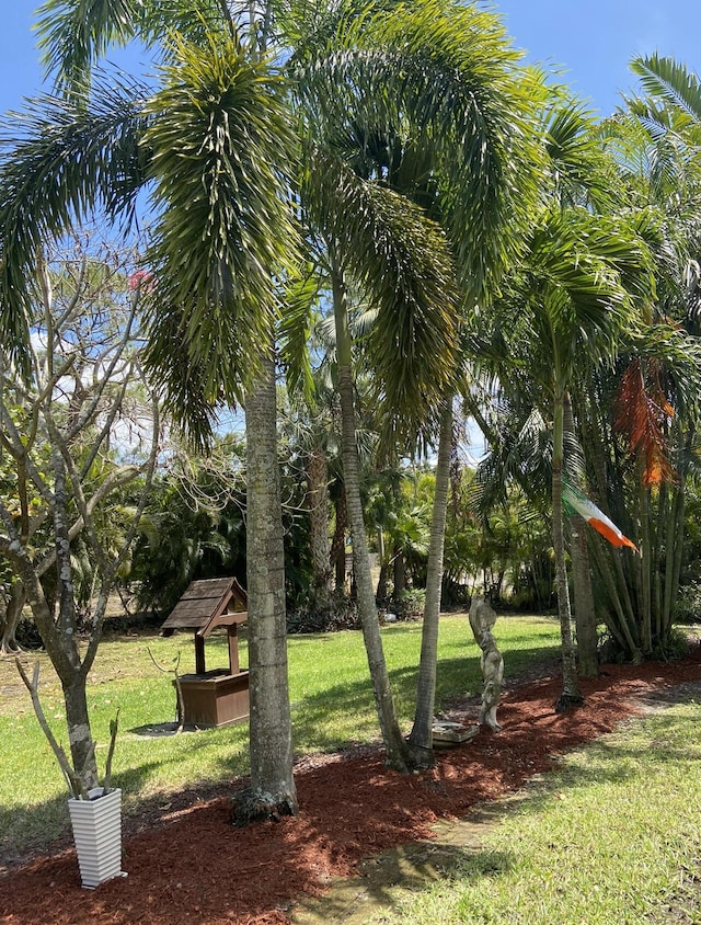 17768 Temple Blvd, Loxahatchee, FL 33470 - view of green lawn