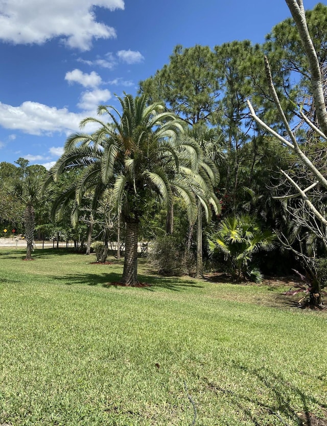 17768 Temple Blvd, Loxahatchee, FL 33470 - view of green lawn