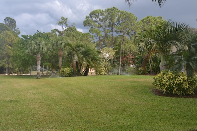 17768 Temple Blvd, Loxahatchee, FL 33470 - view of green lawn