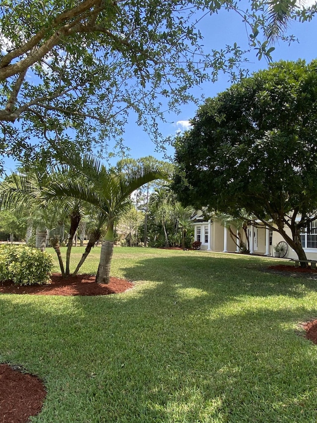 17768 Temple Blvd, Loxahatchee, FL 33470 - view of green lawn