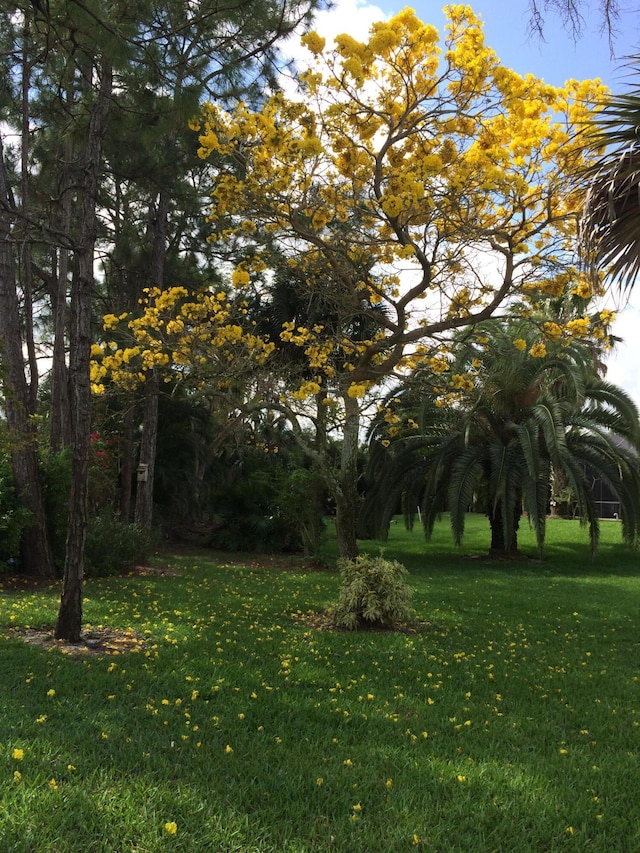 17768 Temple Blvd, Loxahatchee, FL 33470 - view of grassy yard