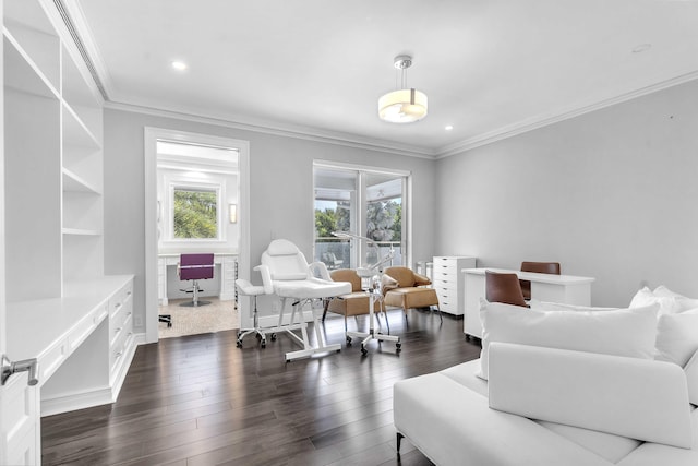 living area with dark wood-type flooring, a wealth of natural light, ornamental molding, and recessed lighting