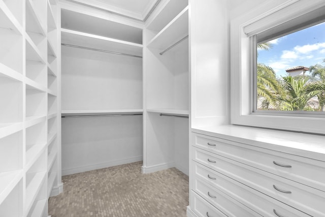 view of walk in closet