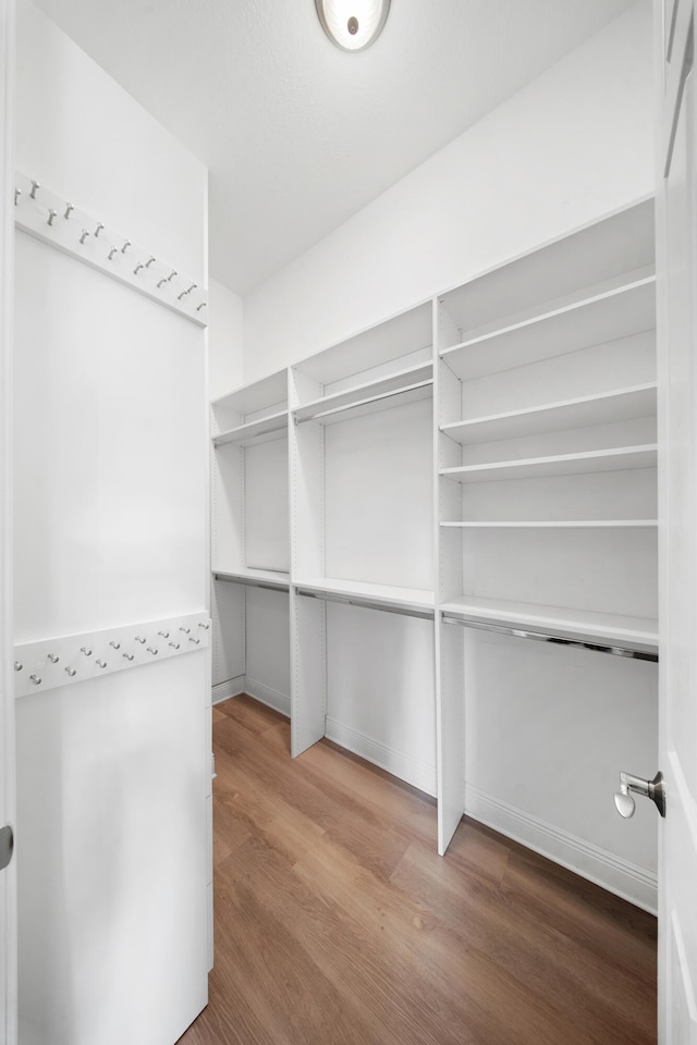 walk in closet featuring wood finished floors