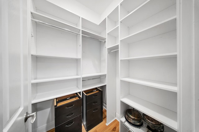 walk in closet with light wood finished floors