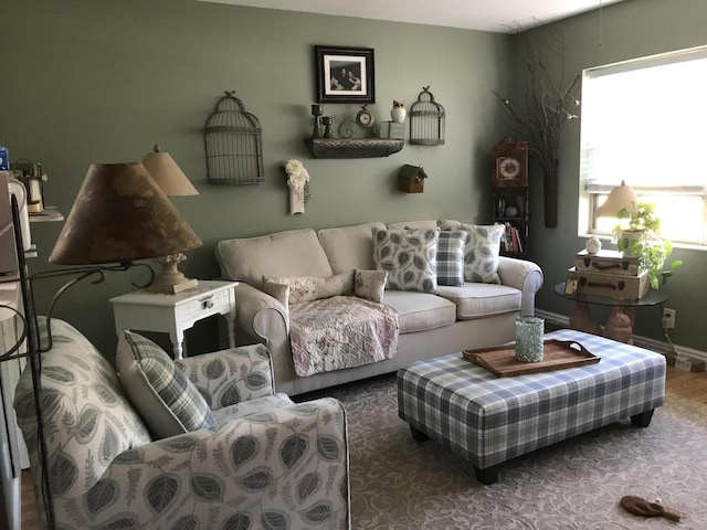 living area featuring wood finished floors