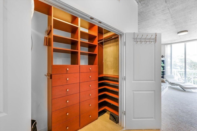 300 S Australian Ave Unit 717, West Palm Beach, FL 33401 - view of closet