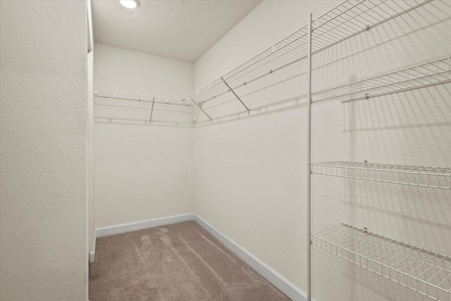 walk in closet featuring carpet