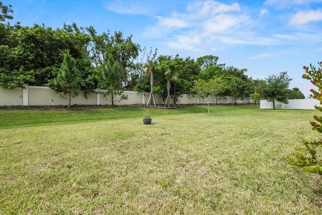 view of yard