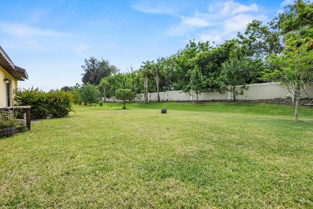 view of yard
