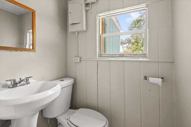 bathroom featuring toilet, a sink, a decorative wall, and electric panel