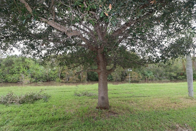 133 Lakes End Dr Unit E1, Fort Pierce, FL 34982 - view of green lawn