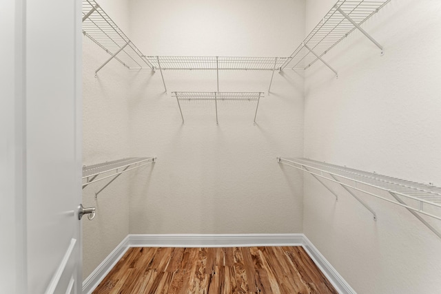 spacious closet featuring wood finished floors