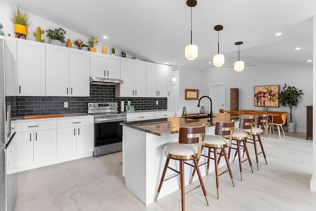 kitchen with stainless steel electric stove, vaulted ceiling, under cabinet range hood, and a sink
