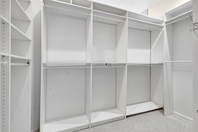 spacious closet featuring carpet