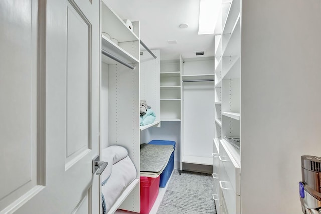view of spacious closet