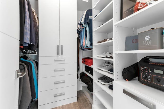 walk in closet featuring wood finished floors