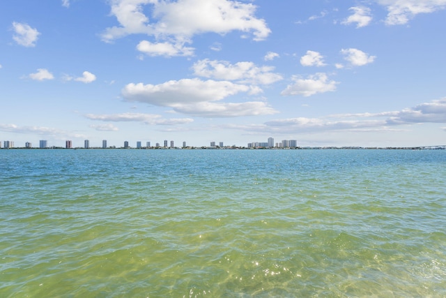 view of water feature featuring a city view
