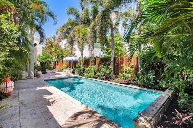 138 Greymon Dr, West Palm Beach, FL 33405 - view of pool with a fenced in pool, a patio, and a fenced backyard