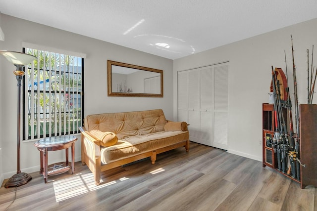 living area featuring baseboards and wood finished floors