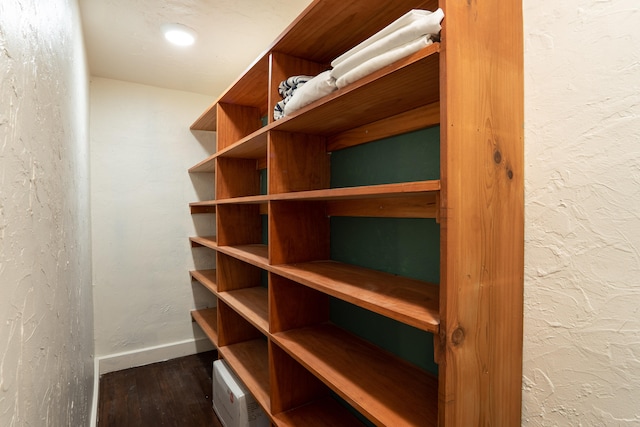 spacious closet featuring dark wood-type flooring