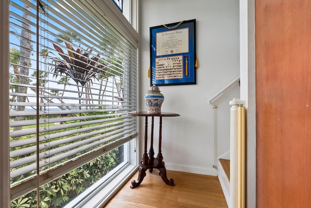 interior details with baseboards and wood finished floors